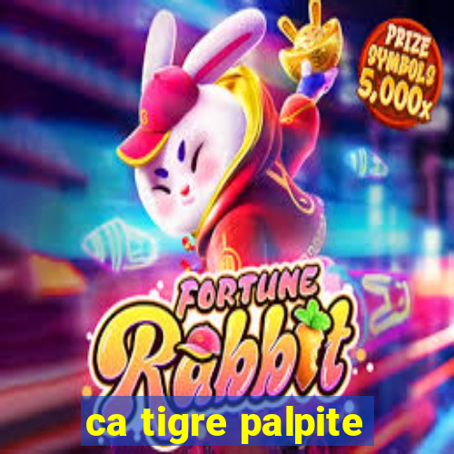 ca tigre palpite